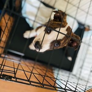 Meet your Posher, Da’ kerius